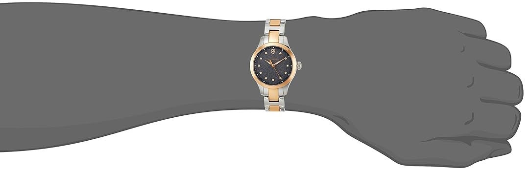 Amazon.co.jp: VICTORINOX(ビクトリノックス)腕時計 ALLIANCE XS